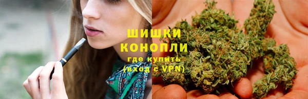 шишки Артём