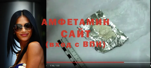 шишки Корсаков