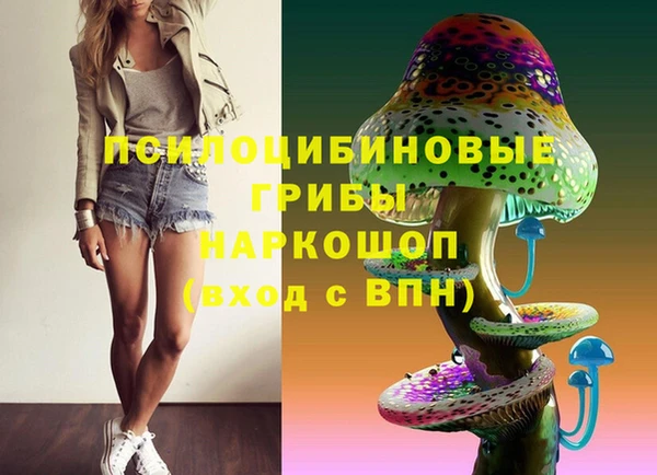 прущий лед Киренск