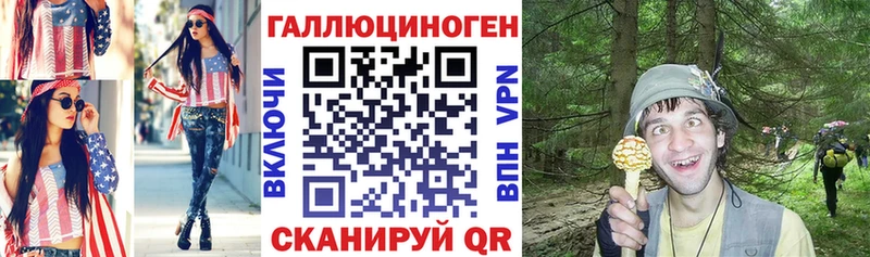 хочу наркоту  Кирсанов  Псилоцибиновые грибы мицелий 